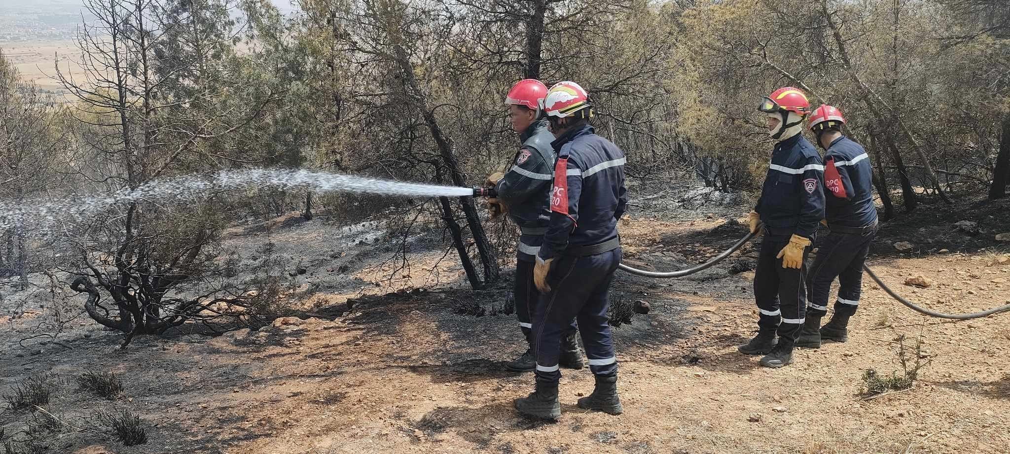 سعيدة: إخماد نهائي لحريق غابة تافرنت