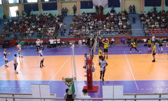 وداد تلمسان