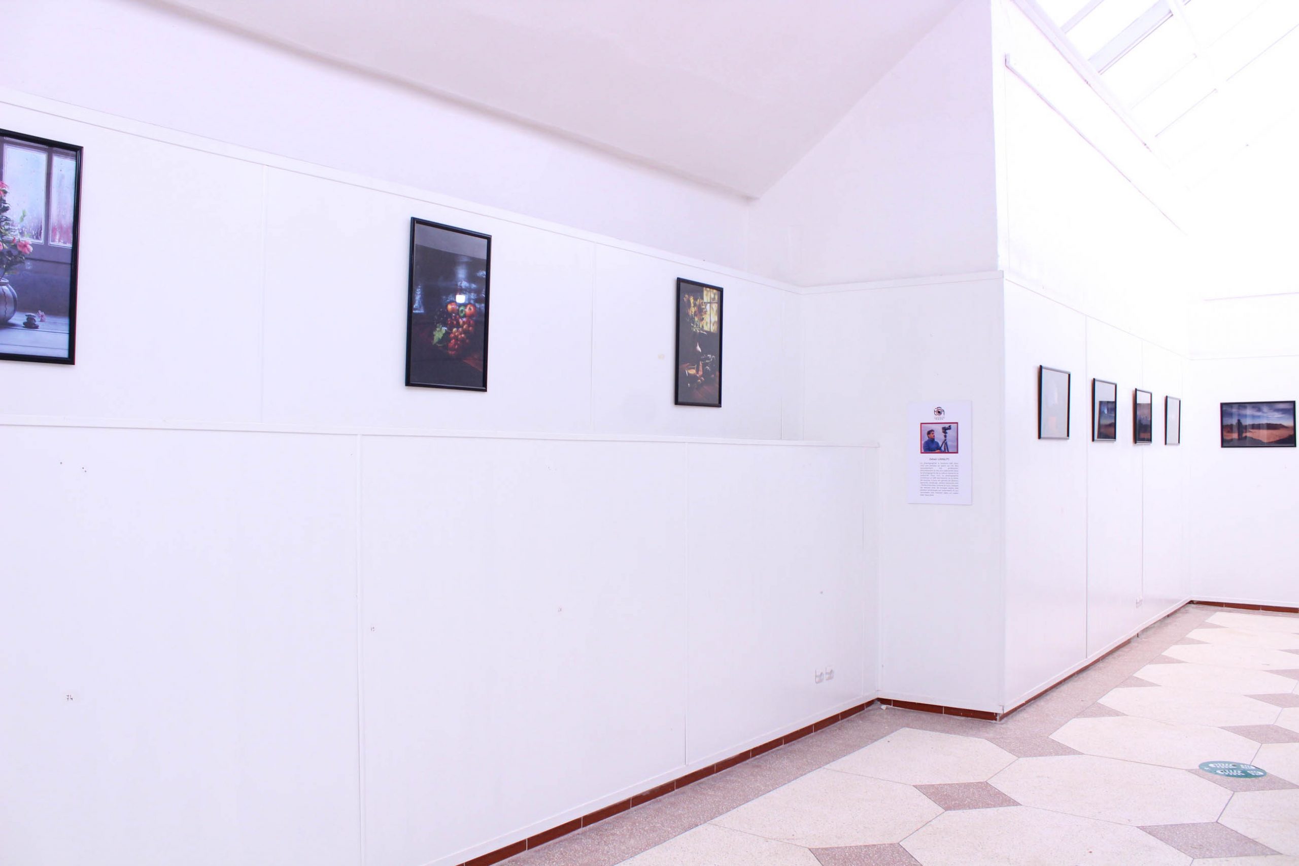 الصالون الوطني الثالث للصورة الفنية