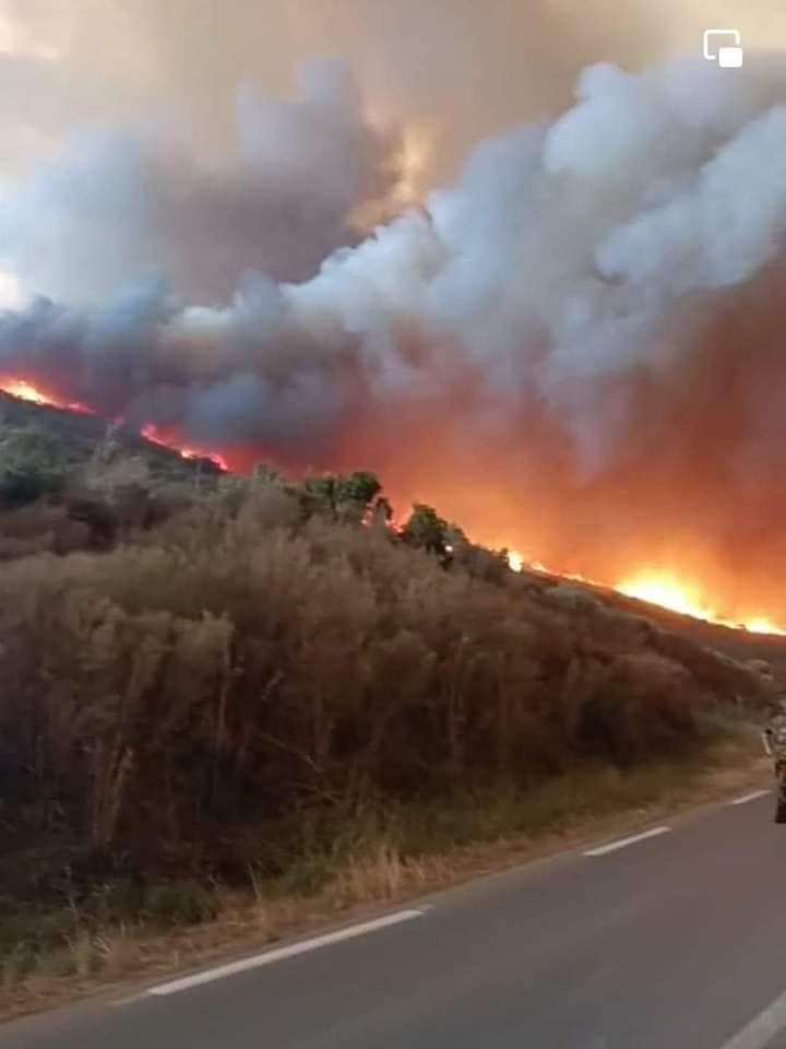 Tizi Ouzou-Incendie.24.07.2023