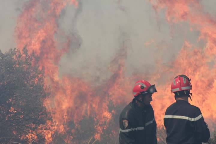 الحماية المدنية: إخماد أغلب حرائق الغابات بعدة ولايات من الوطن