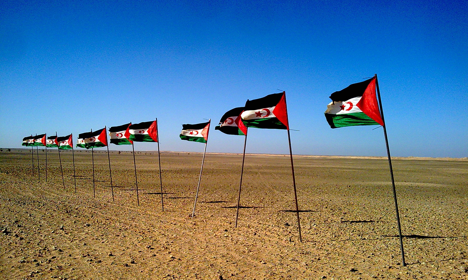 Sahara occidental 07.08.2023