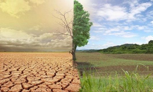 المخطط الوطني حول مكافحة التغيرات المناخية