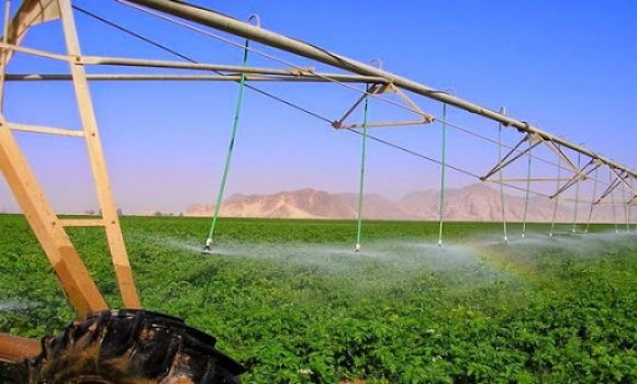 السقي الفلاحي