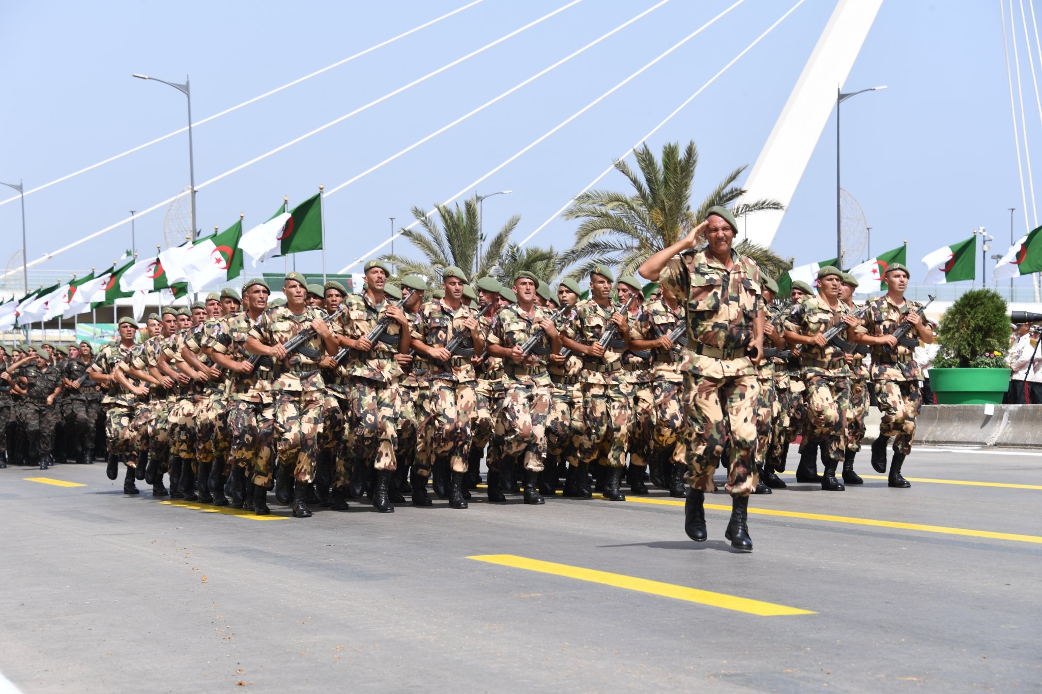 اليوم الوطني للجيش: عرفان بالأدوار المحورية للسليل