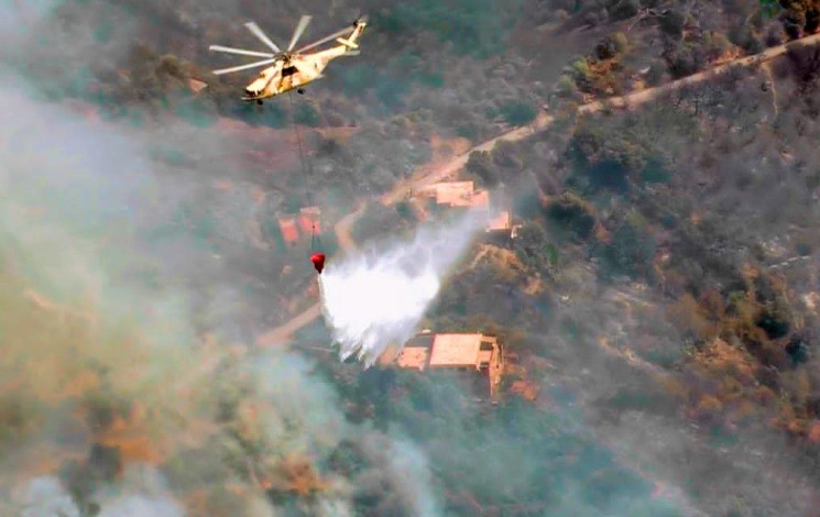 anp incendies