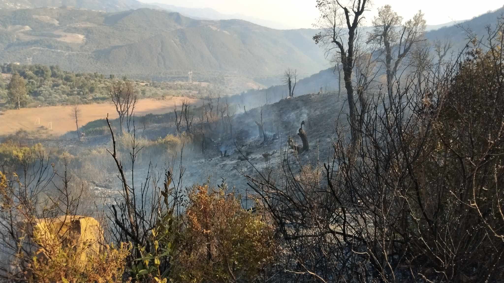 bejaia-incendies.jpg