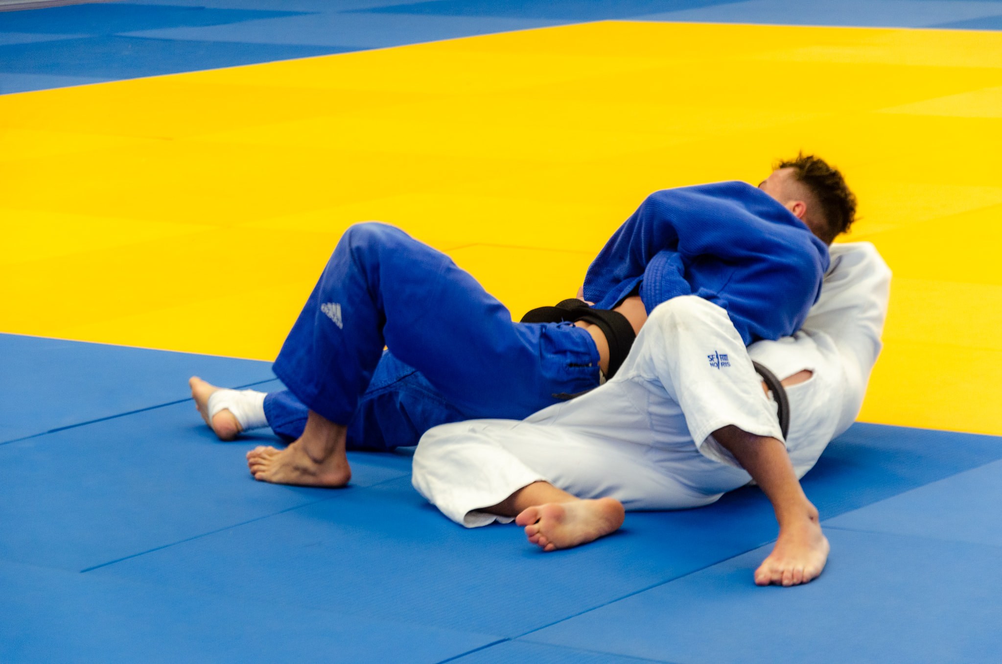 judo_dd.