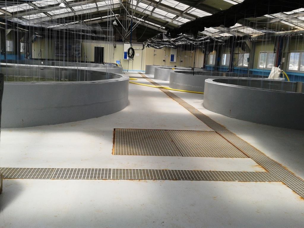 وفد كوري يعاين المحطة التجريبية لتربية الجمبري بالمرسى بسكيكدة