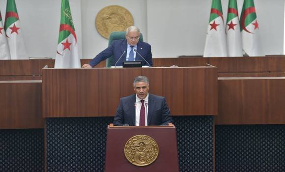 طارق بلعريبي