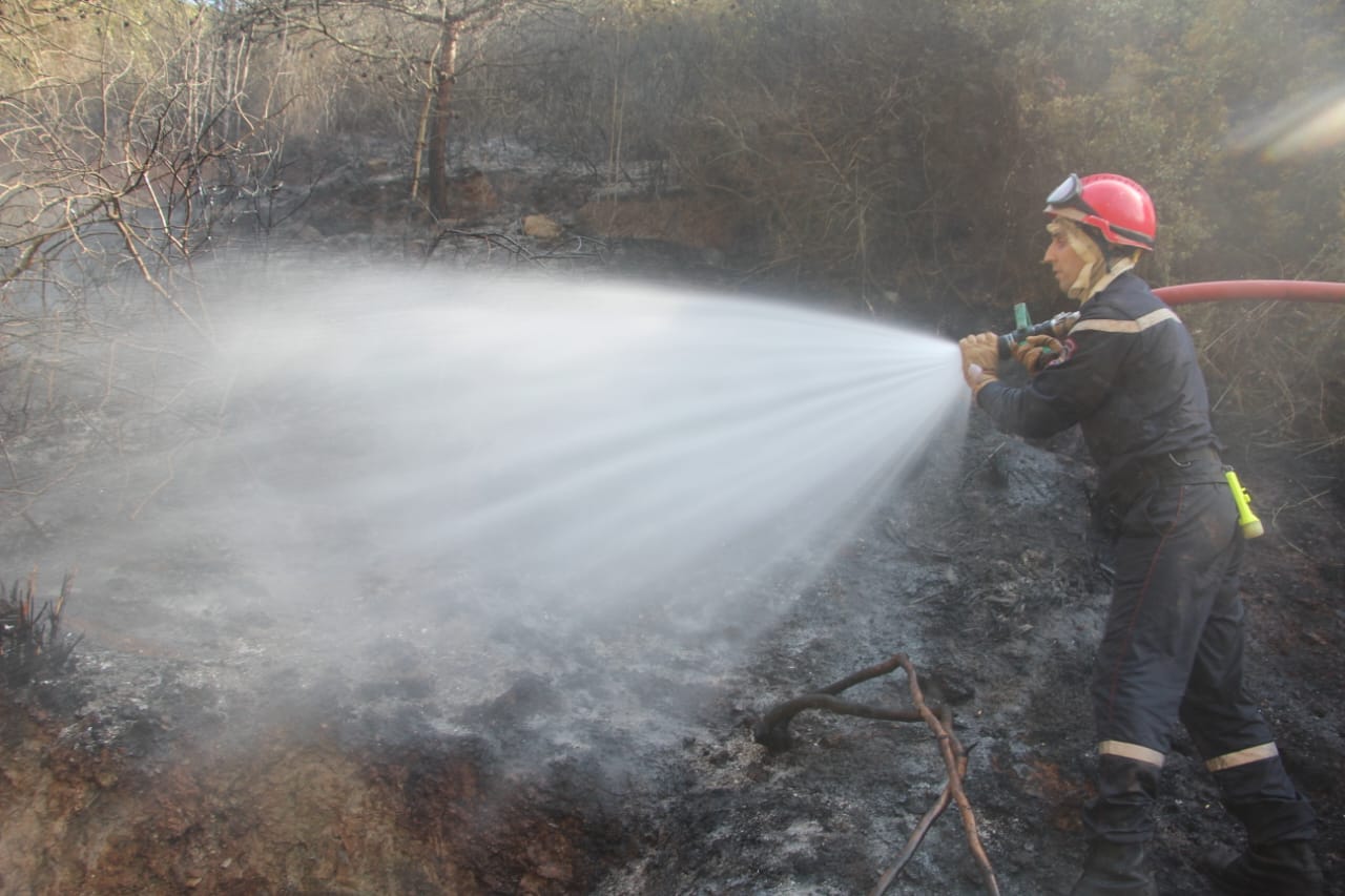 Feux de forêt 04.09.2023