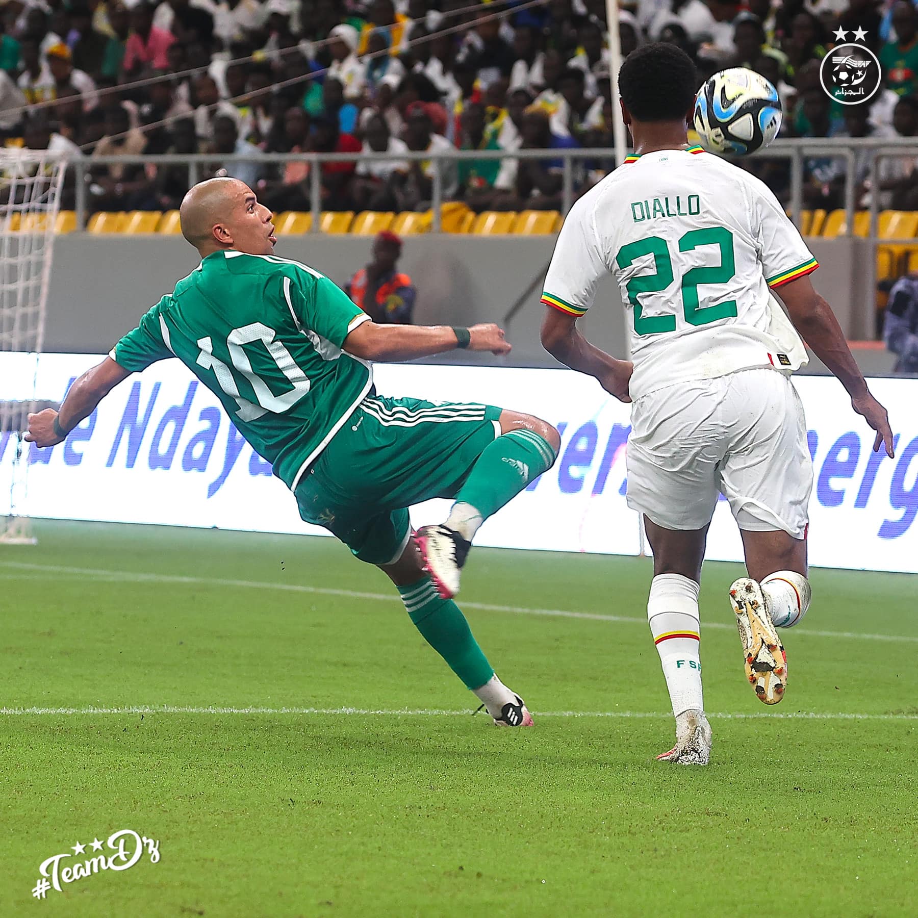 ودية الجزائر-السنغال