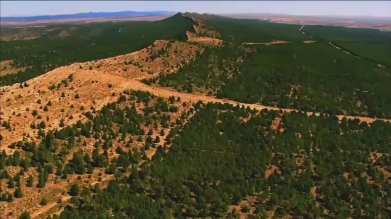 السد الأخضر