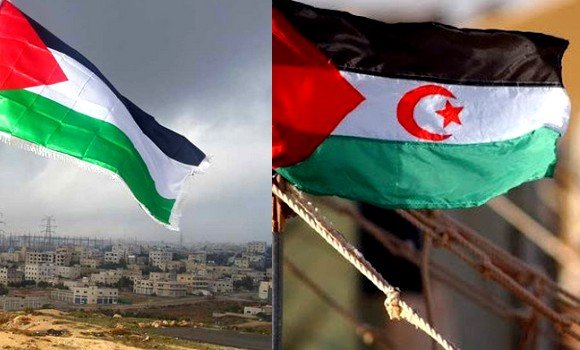 إشادة بموقف الجزائر الداعم للقضيتين العادلتين الفلسطينية والصحراوية