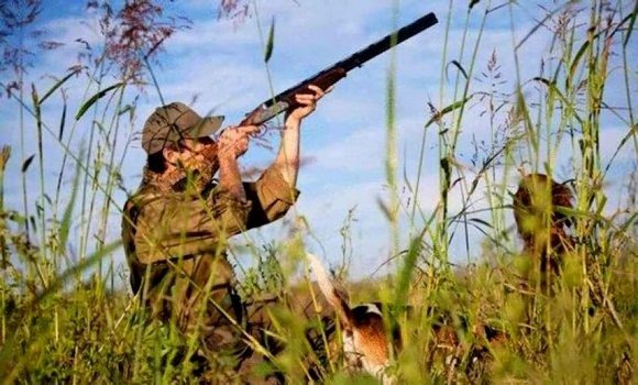 المديرية العامة للغابات : وضع مخطط وطني لإنجاح موسم الصيد البري 2023-2024