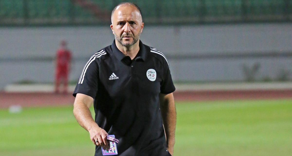 belmadi02.09.23.jpg