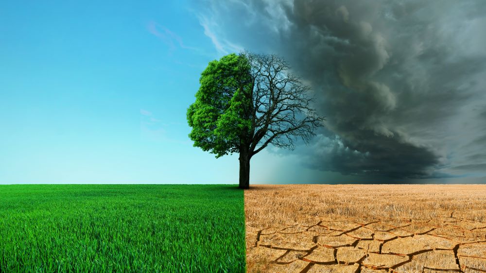 assurance climatique