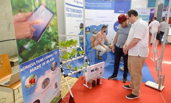 المعارض والبنوك الجزائرية في إفريقيا ستعزز مكانة المنتوج الجزائري
