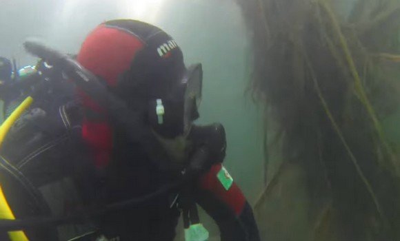 فرقة الحماية المدنية الجزائرية بليبيا