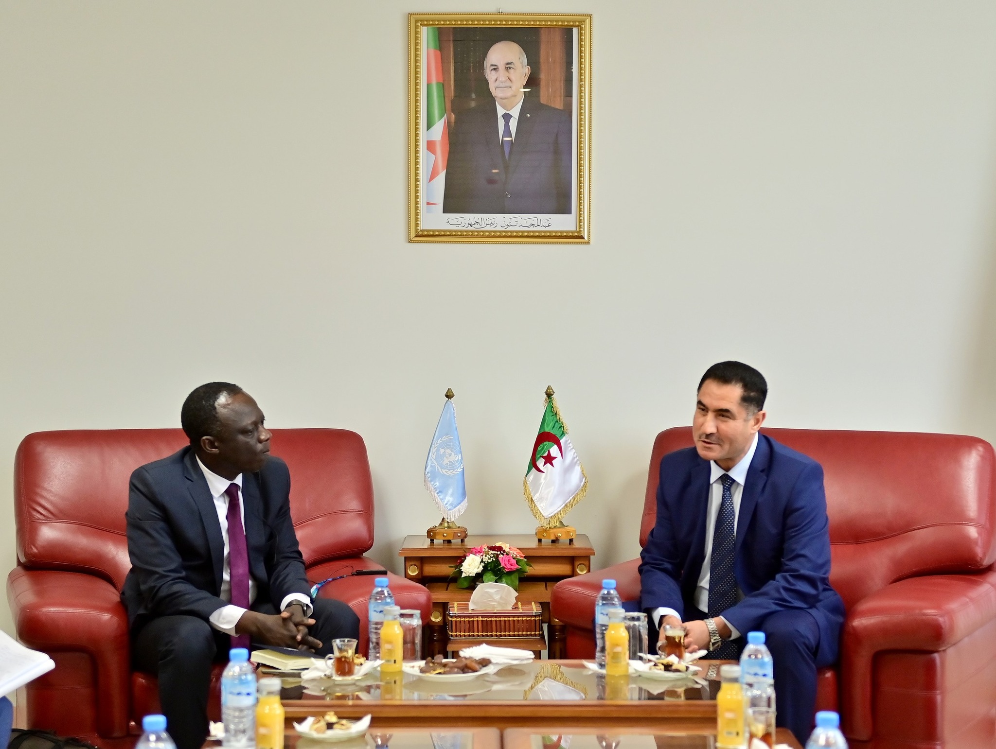 مقرر الأمم المتحدة الخاص