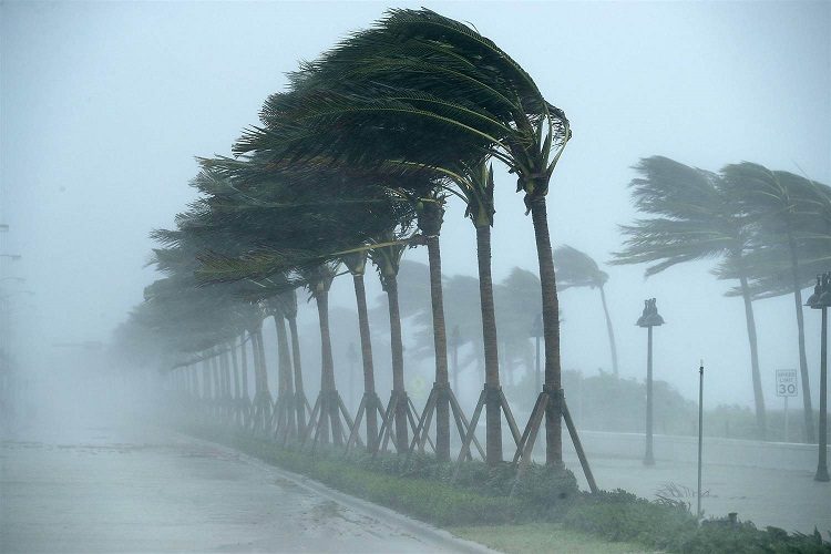 هبوب رياح قوية في عدة ولايات من الوطن بداية من مساء اليوم الخميس  هبوب رياح قوية في عدة ولايات من الوطن بداية من مساء اليوم الخميس