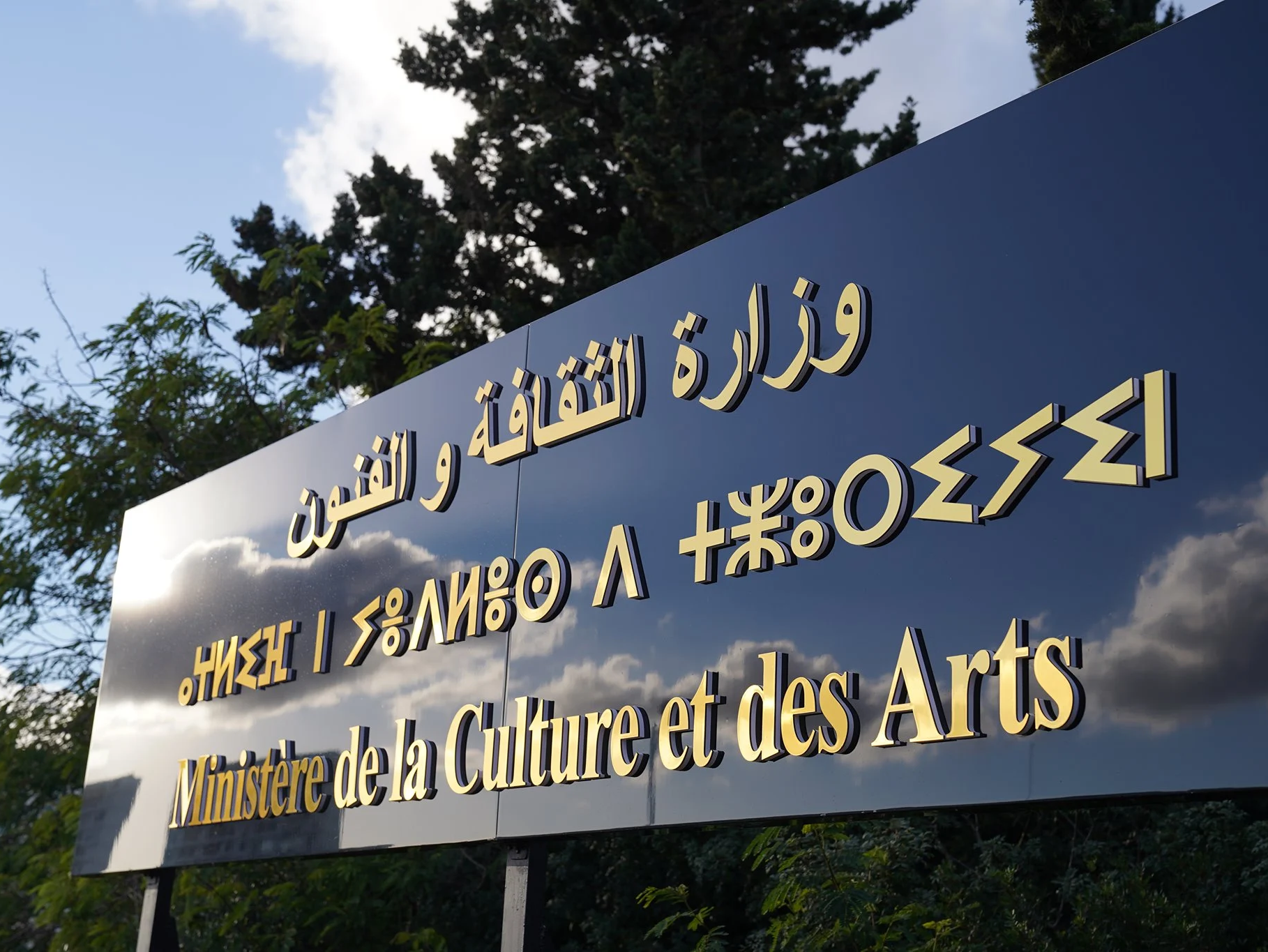 وزارة الثقافة والفنون