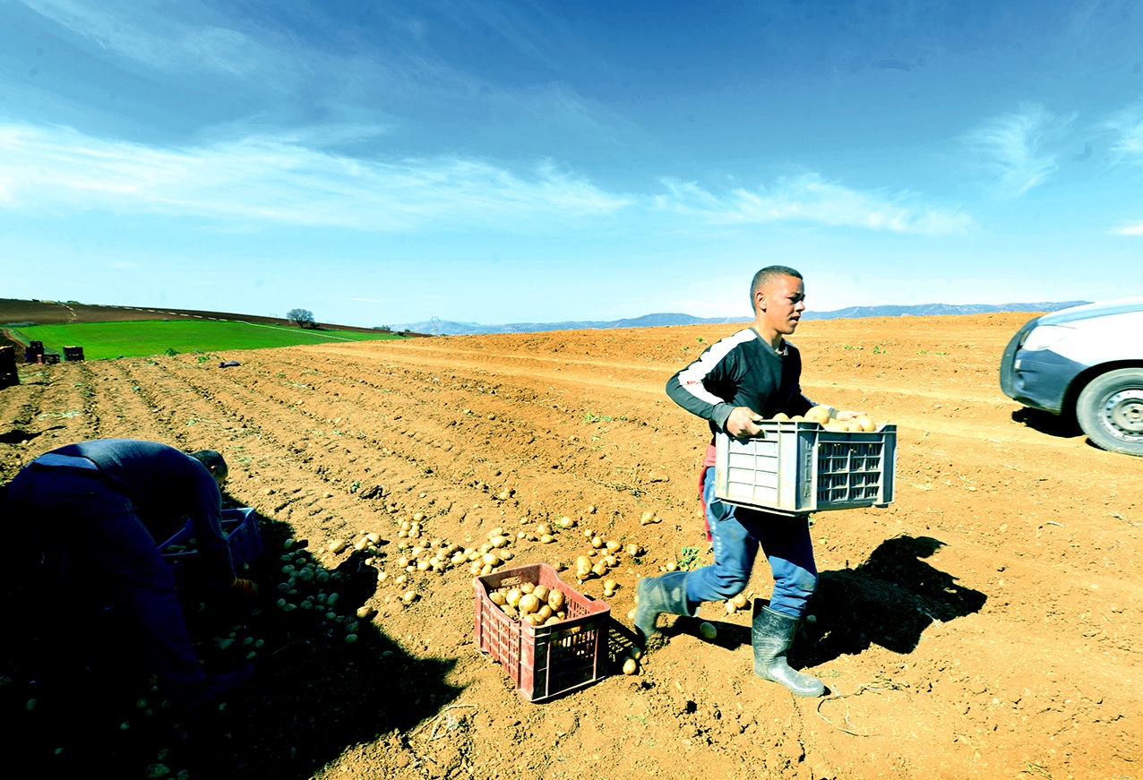 agriculteurs-Indemnisation.18.10.2023