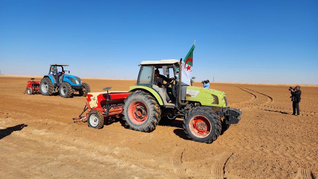 تيميمون : نحو تخصيص 10000 هكتار لزراعة الحبوب برسم الموسم الجديد