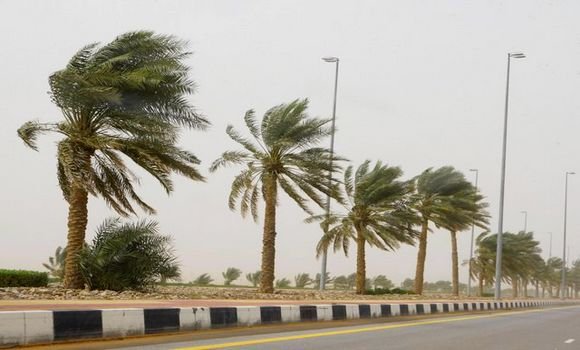نشرية خاصة