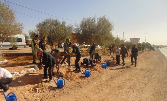 اليوم الوطني للشجرة