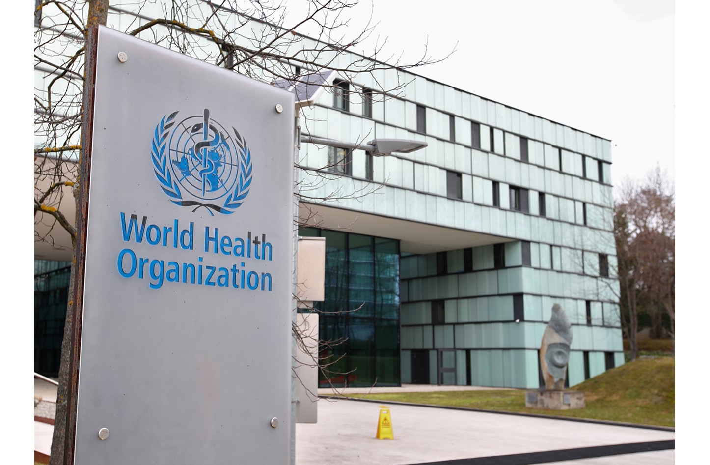 منظمة الصحة العالمية