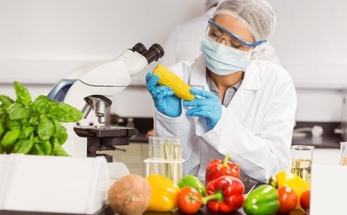 securité-alimentaire.11.10.2023