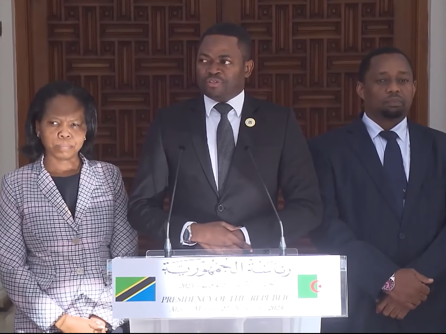 سفير تنزانيا