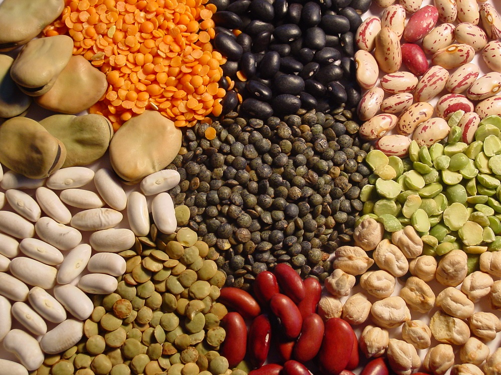 legumes-secs-blogs.jpg