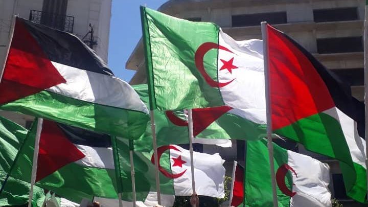 Sit-In Palestine.01.11.2023