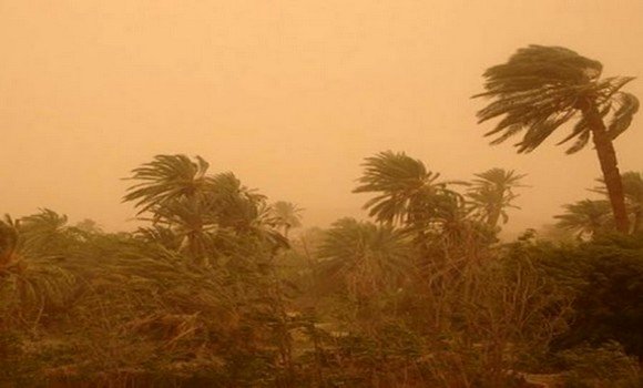هبوب رياح قوية مصحوبة بعواصف بعدد من ولايات الوطن 