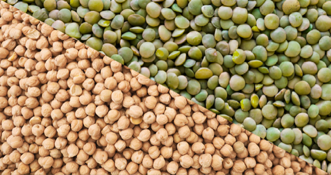 pois-chicheslentilles.png