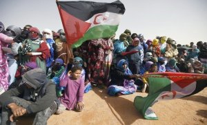 بوليساريو