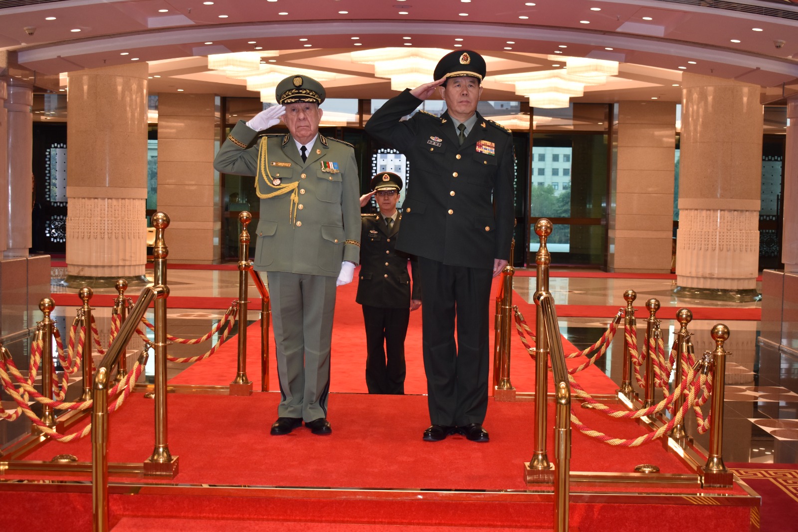 شنقريحة الصين