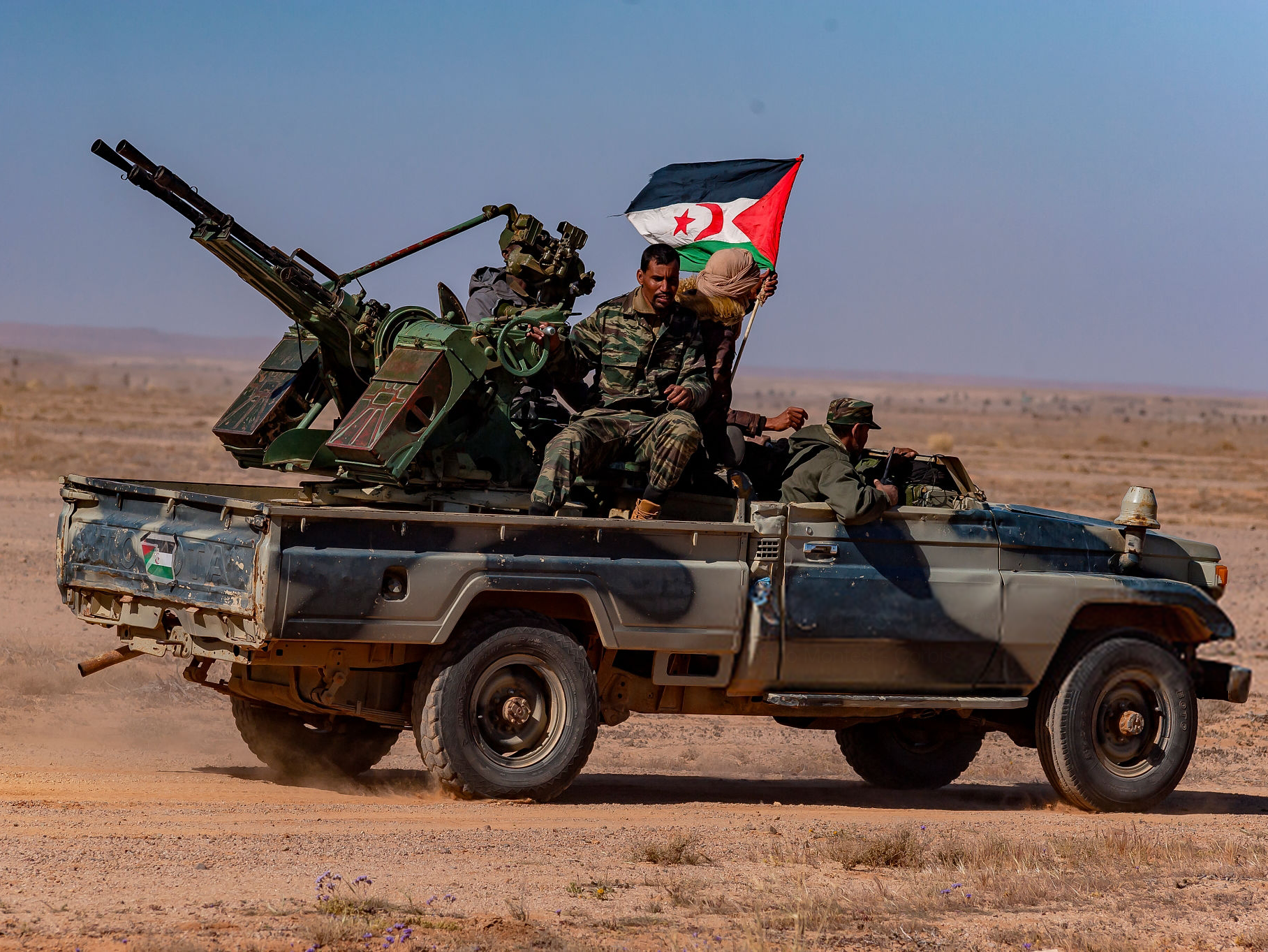 الصحراء الغربية