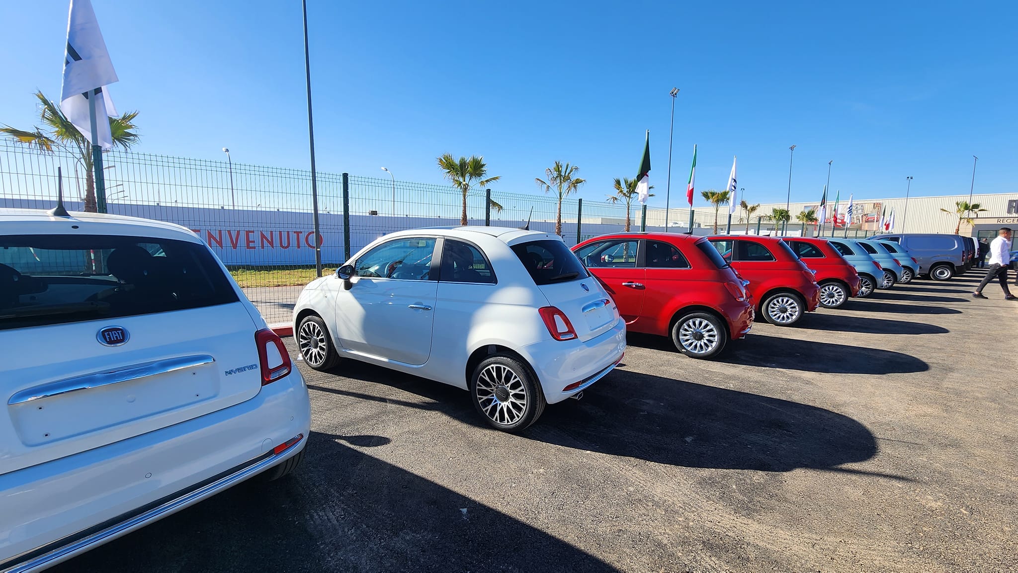 FIAT 11.12.2023