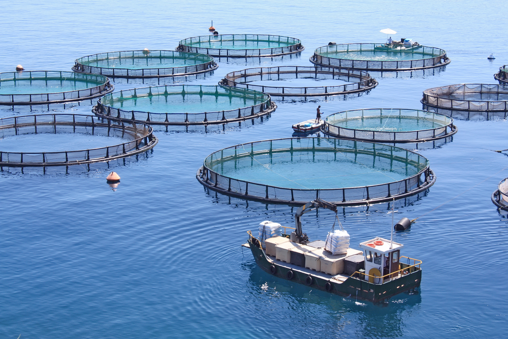 Aquaculture