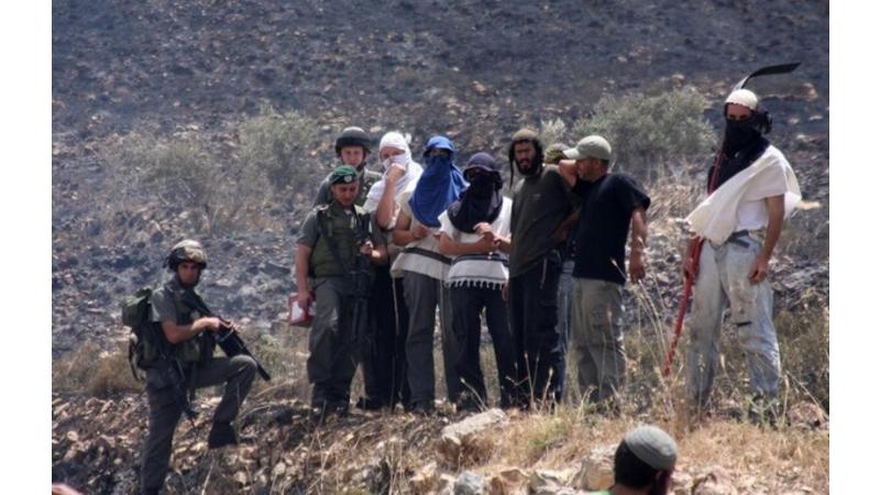 فلسطين: مخطط صهيوني جديد للاستيلاء على 104 دونمات من أراضي قلقيلية بالضفة الغربية