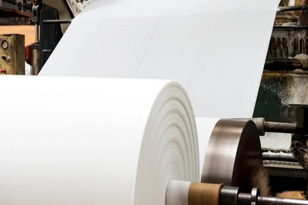 صناعة الورق