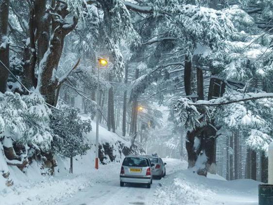 مرتفعات الشريعة