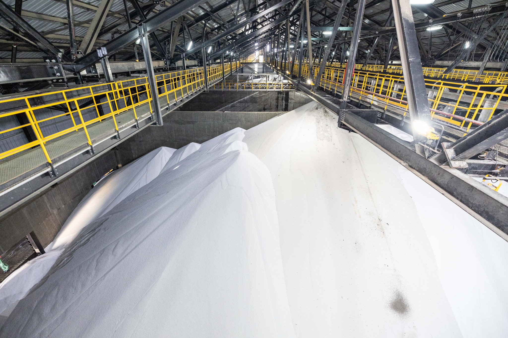 Algérie-kenya.25.01.2024