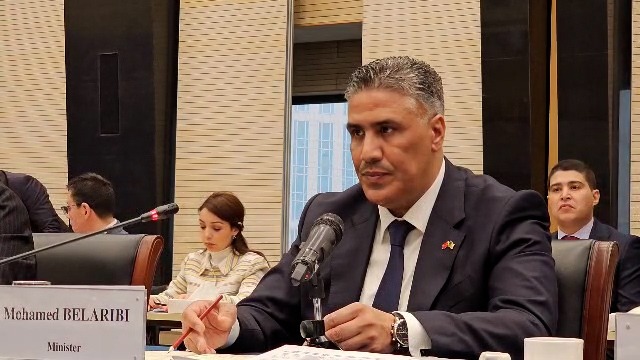 وزير السكن  و العمران و المدينة طارق بلعريبي