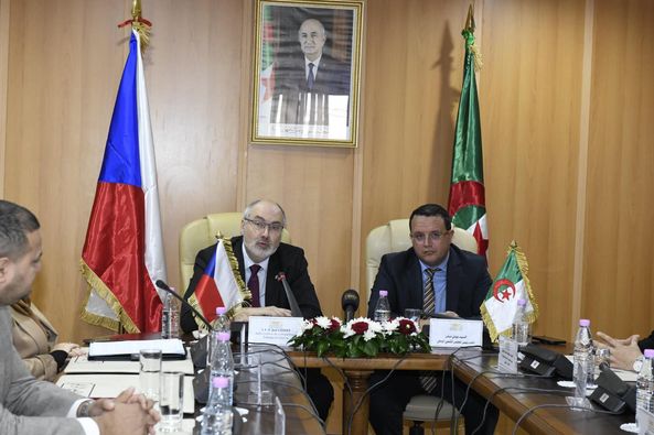 لجنة الصداقة