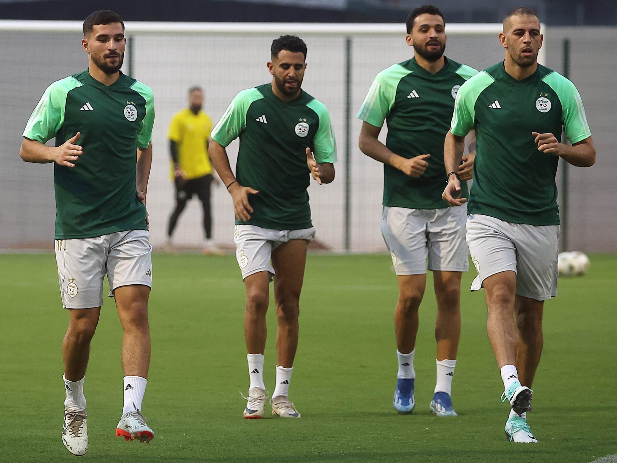 المنتخب الوطني