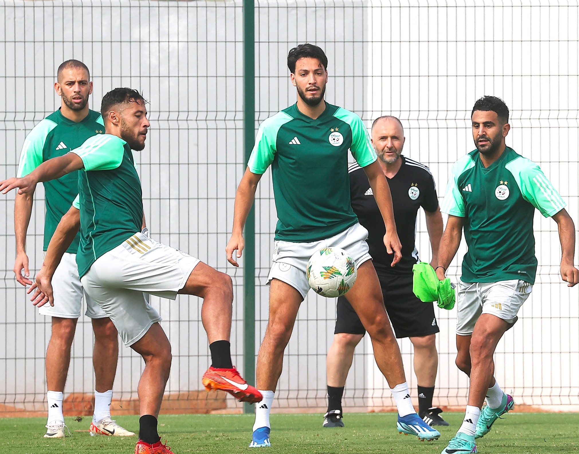 "الخضر" .. الفوز من اجل العودة الى المسار الصحيح